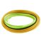 Rio Perception Fly Line