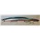 Red Mullet