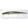 Wrasse ND