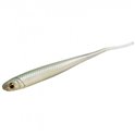 Anchovy