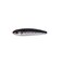 Dotted Sardine