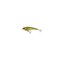 Westin Rawbite 26g floating