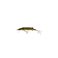 Pike
