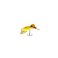 Yellow Duckling