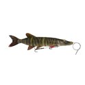 01 Striped Pike
