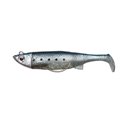 Sardine