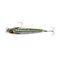 Green Mackerel PHP